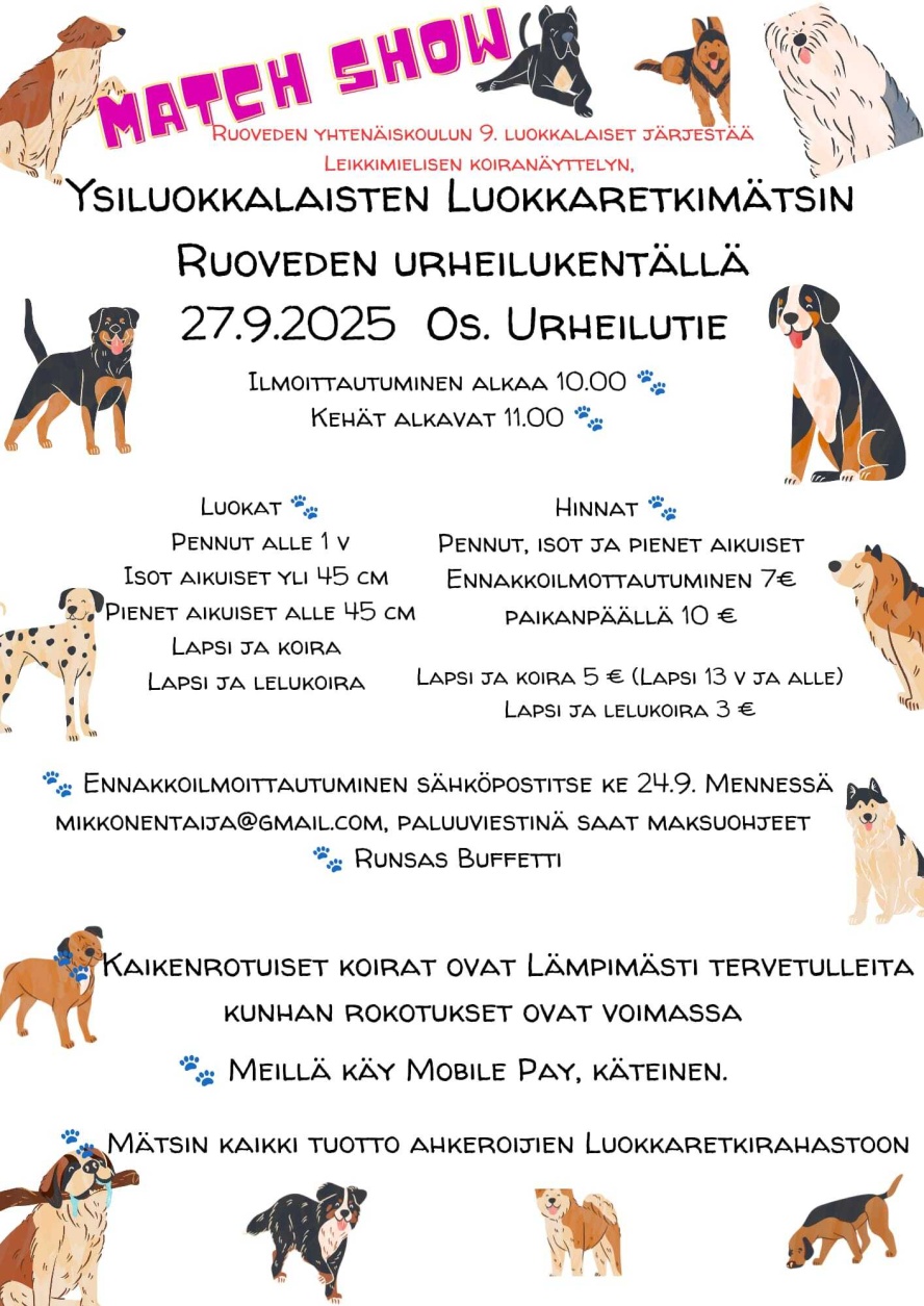 Mätsi